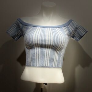 Aerie Blue and Cream Off-Shoulder Crop Top